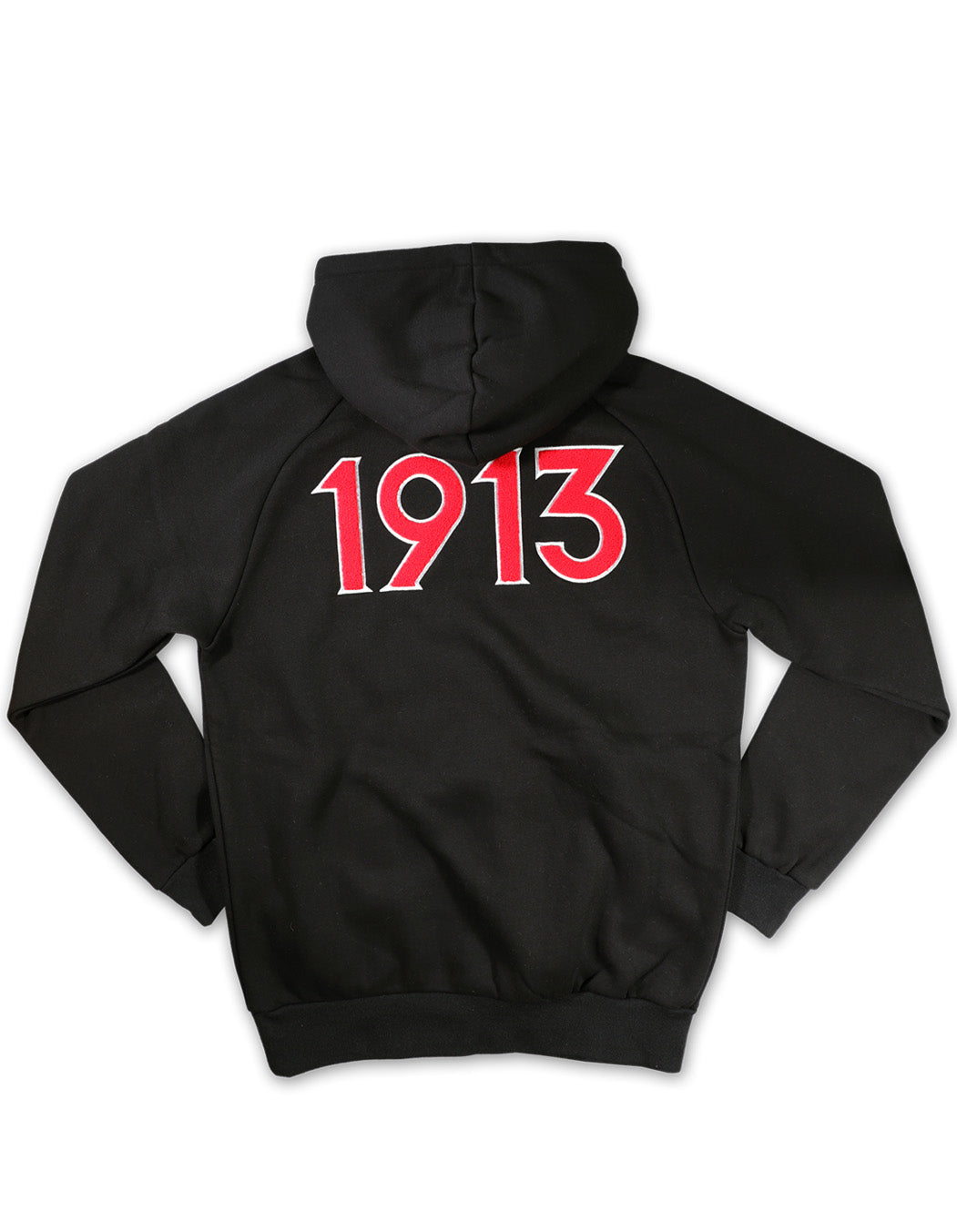 Delta Chenille Letter Hoodie