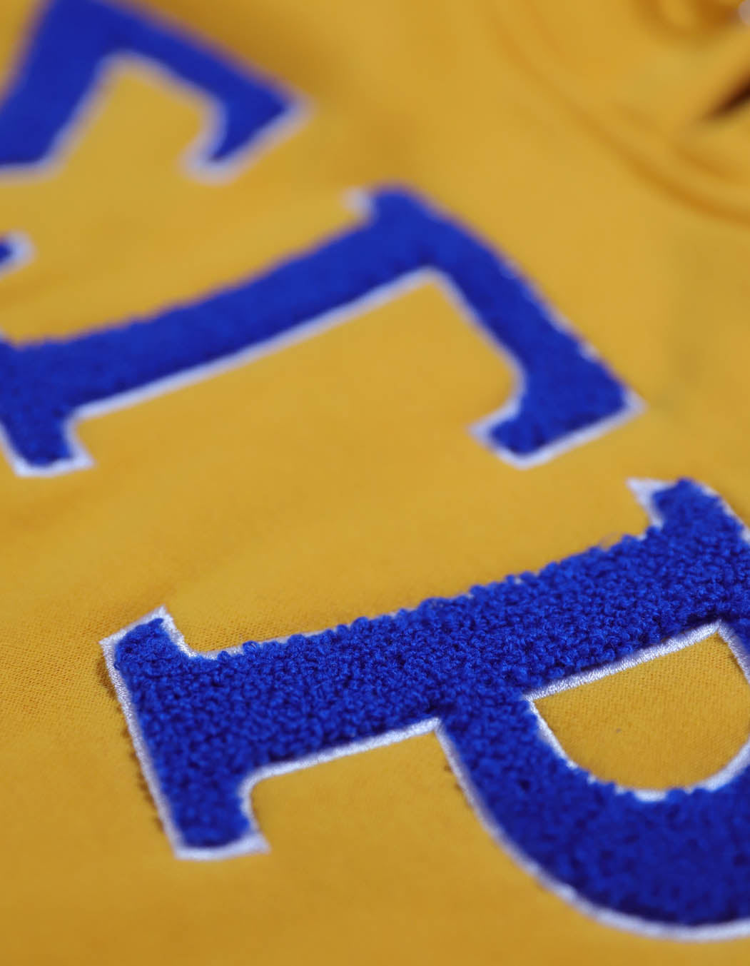 SGRho Chenille Letter Hoodie