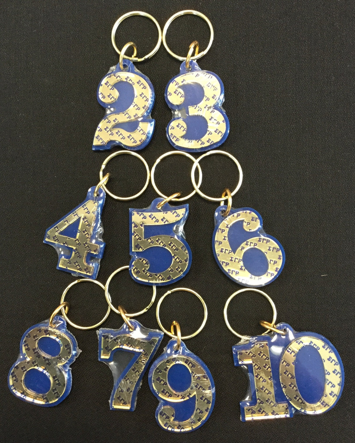 SGRho Single Number Keychain