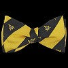 Mason Bow Tie and Handkerchief Set