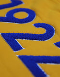 SGRho Chenille Letter Hoodie