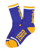 SGRho Letter Socks