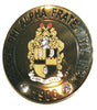 Alpha Phi Alpha Greek Lapel Pin